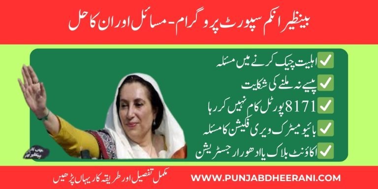BISP Problems and solutions 2025