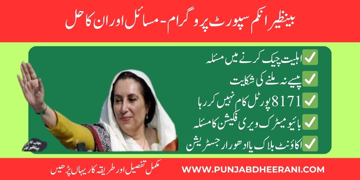 BISP Problems and solutions 2025