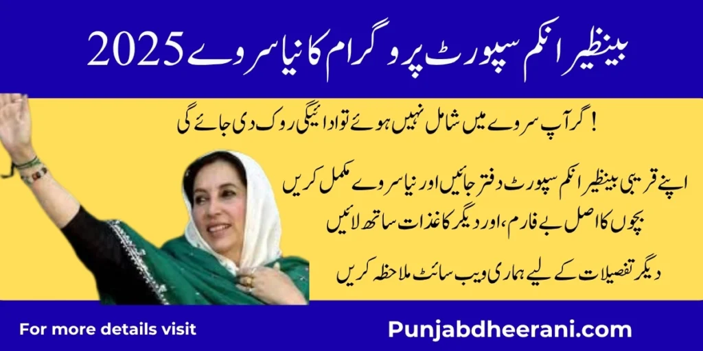 BISP Dynamic Survey 2025