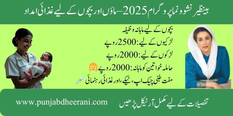 Benazir Nashonuma Program 2025