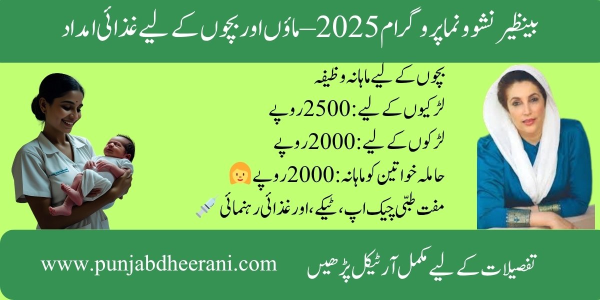 Benazir Nashonuma Program 2025