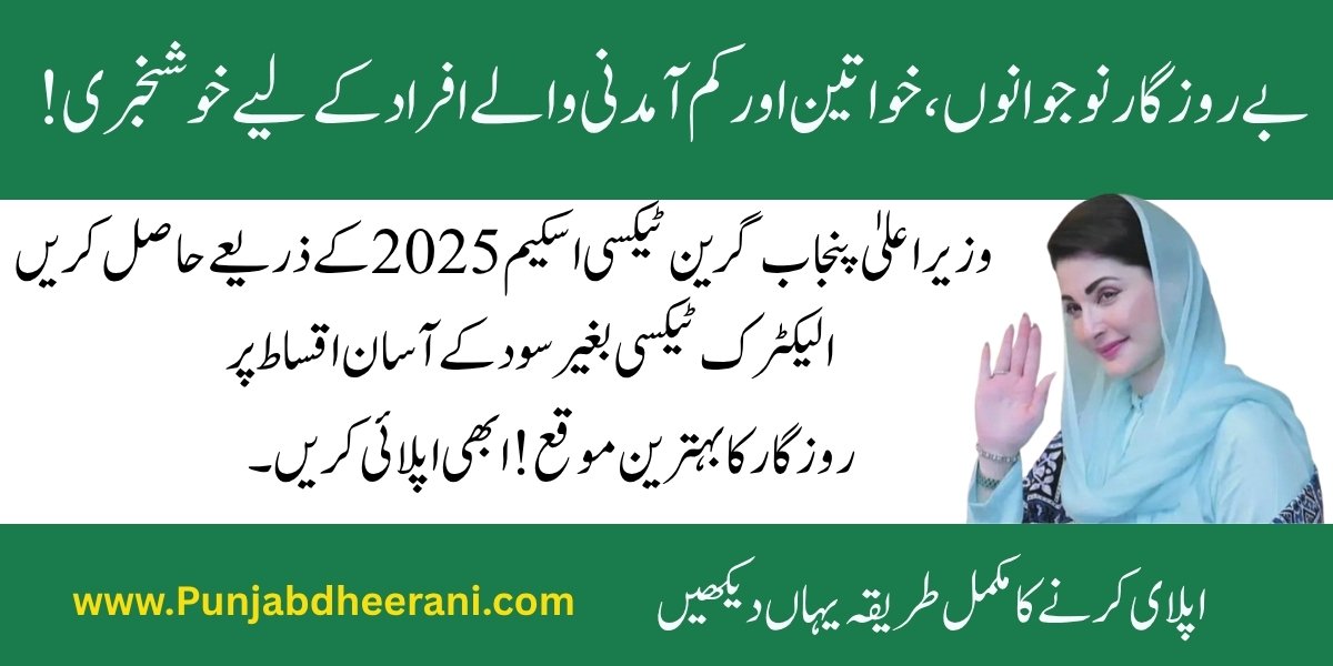 CM Punjab Green E Taxi Scheme 2025