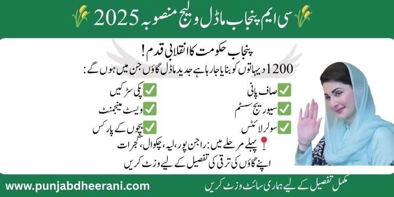 CM Punjab Model Village Project 2025