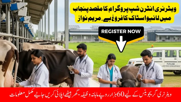 CM Punjab Veterinary Internship Program: Promotion of Livestock, 1000 Seats and Monthly Stipend of 60,000