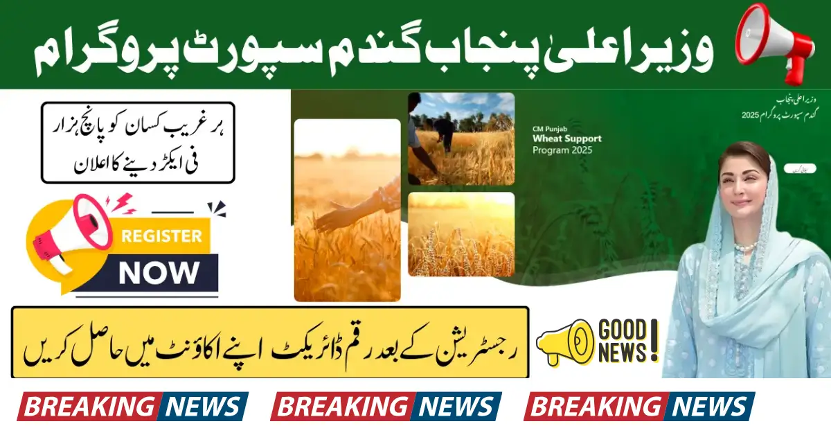 CM Punjab Wheat Support Program 2025 – Online Registration, Eligibility & Payment Guide