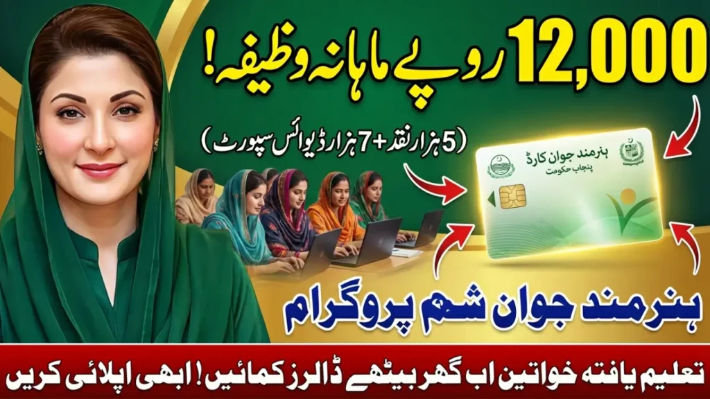 Maryam nawaz Hunarmand Jawan support program: