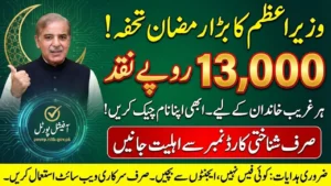 PM Ramzan Relief Package 13000 Cash Payment Status Check by Portal