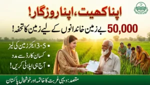 Punjab Land Scheme 2026: Apna Khet Apna Rozgar Eligibility and How to Apply